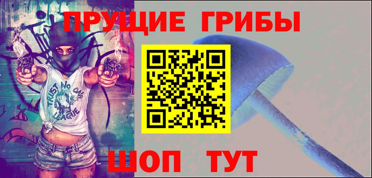 Галлюциногенные грибы Psilocybine cubensis Новочеркасск