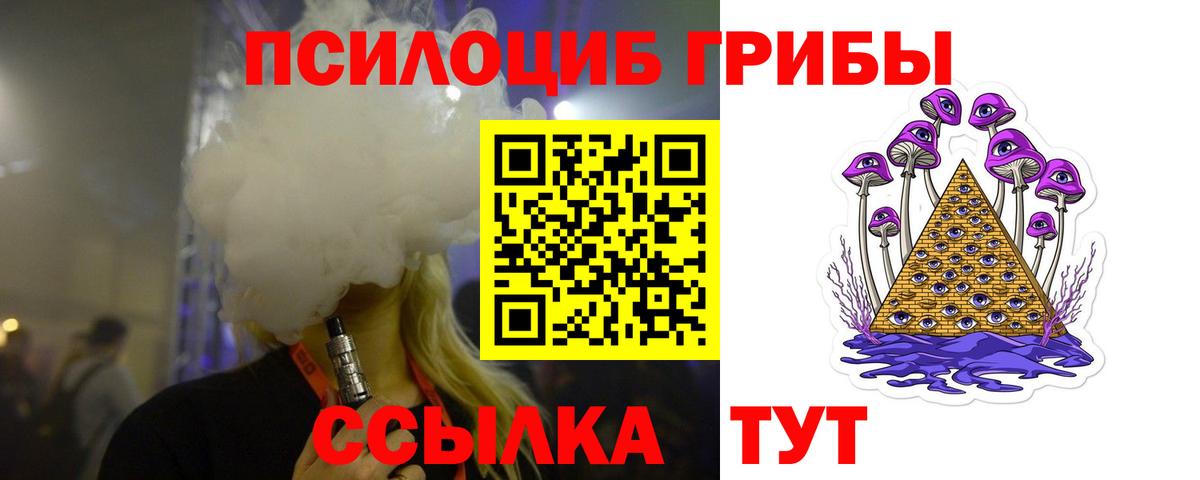 Псилоцибиновые грибы MAGIC MUSHROOMS  Вход с VPN  Псилоцибиновые грибы Magic Shrooms  Новочеркасск 