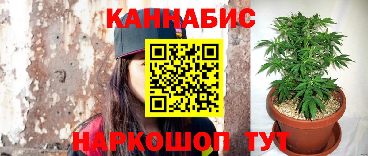 Новочеркасск  Бошки Шишки ГИДРОПОН  Вход с VPN  Конопля ГИДРОПОН 